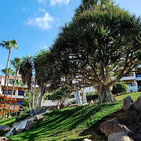 Spacious With Private Garden In Tenerife South * サンミゲル・デ・アボナ